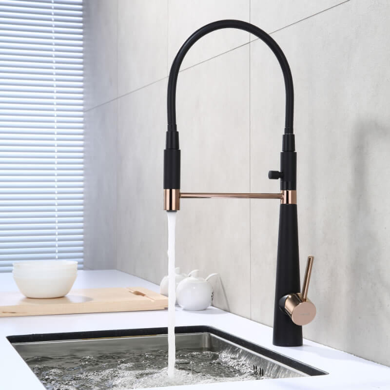 Malte Kitchen Faucet