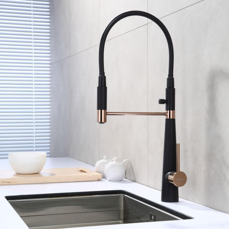 Malte Kitchen Faucet