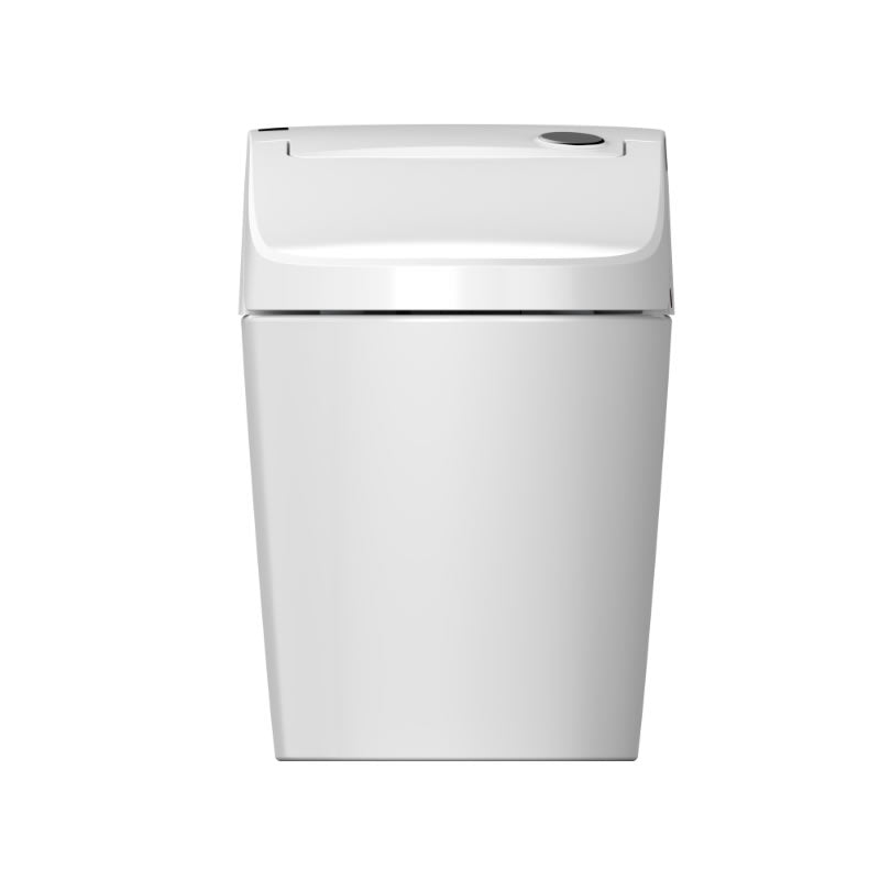 Basilia One-Piece Intelligent Toilet with Bidet Functionality