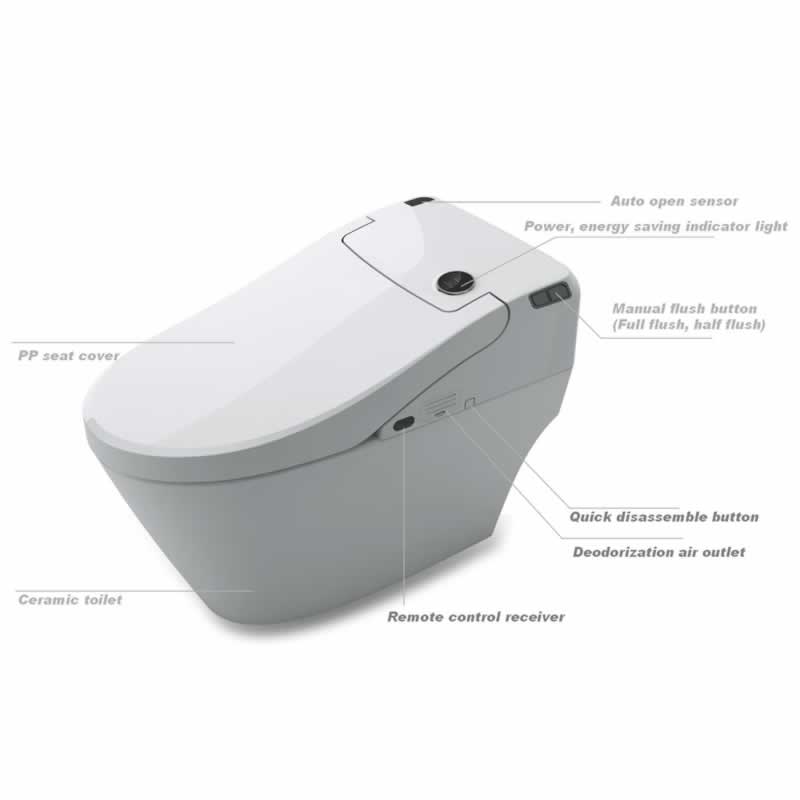 Basilia One-Piece Intelligent Toilet with Bidet Functionality