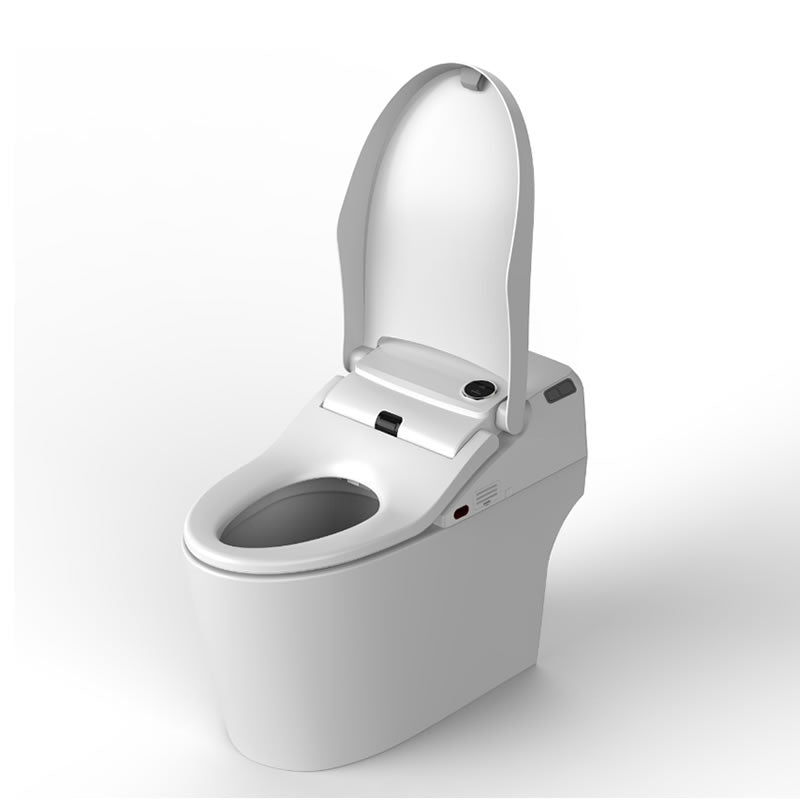 Basilia One-Piece Intelligent Toilet with Bidet Functionality