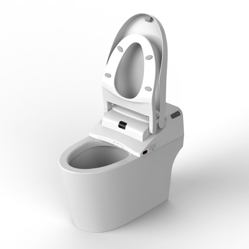 Basilia One-Piece Intelligent Toilet with Bidet Functionality
