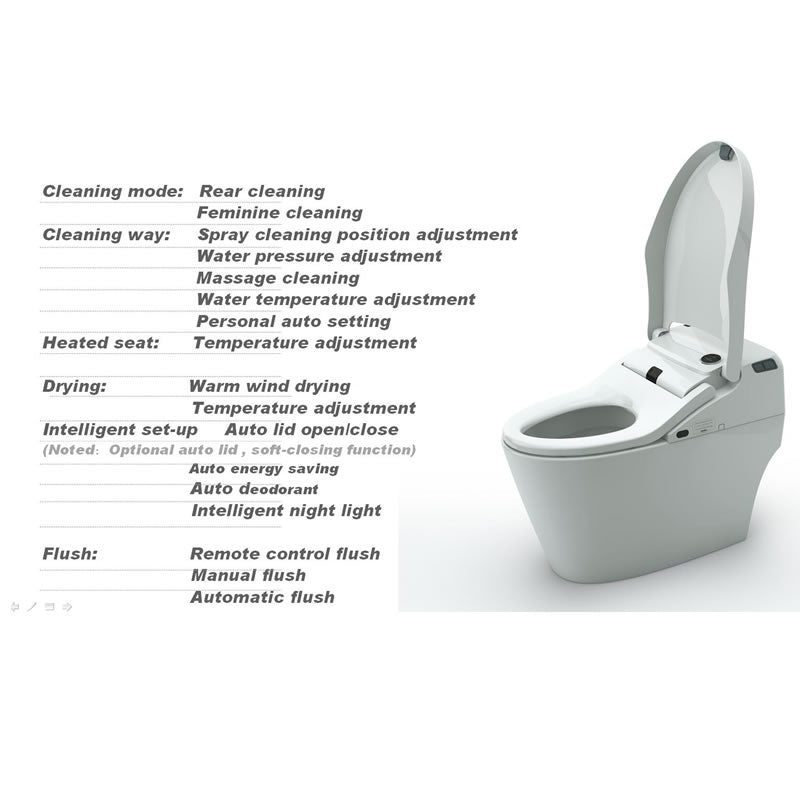 Basilia One-Piece Intelligent Toilet with Bidet Functionality