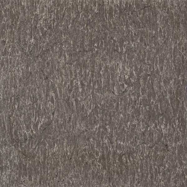 Coastal Grey Quartz