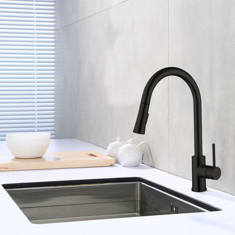 Ingrid Kitchen Faucet