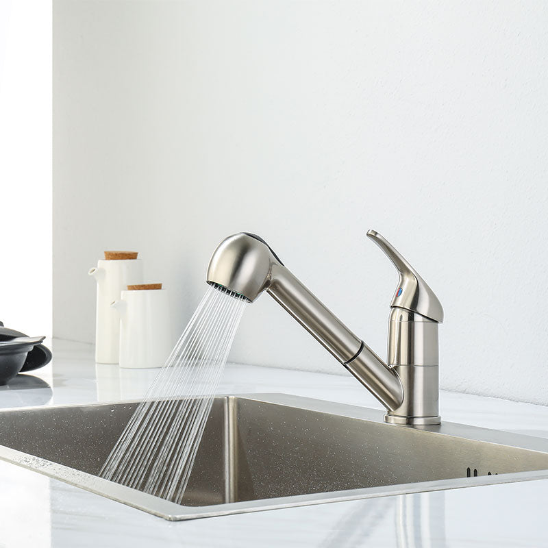 Theodor Kitchen Faucet