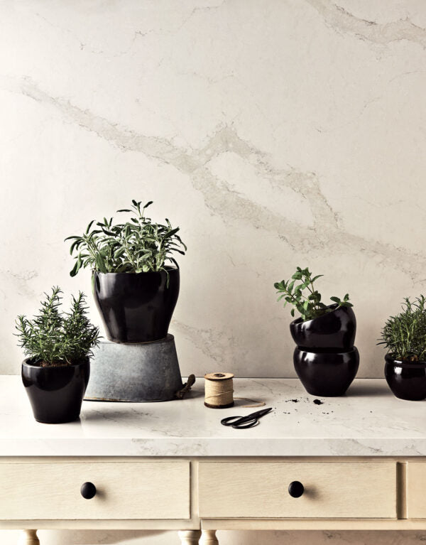 Statuario Nuvo Quartz