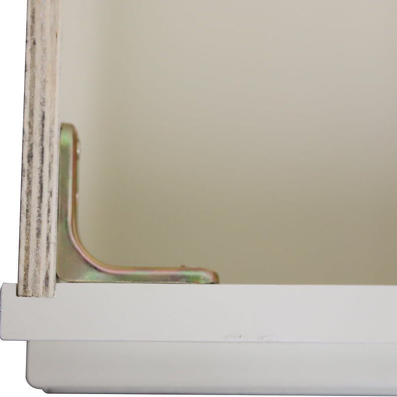RTA Antique White Raised Panel 36" Freestanding Bathroom Vanity Sink Base with Optional Quartz or Ceramic Countertop