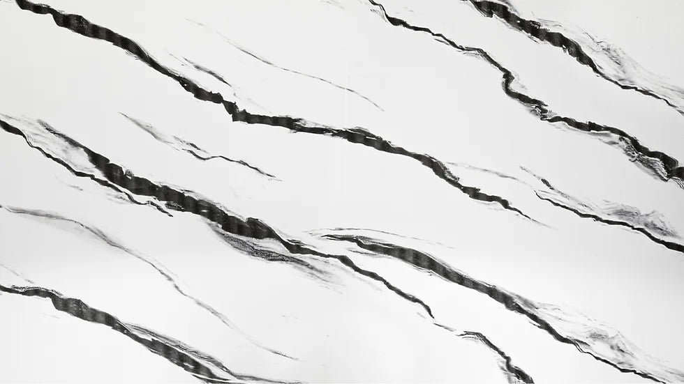 Zebra Ink PVC Shower / Interior Decorative Wall Panel