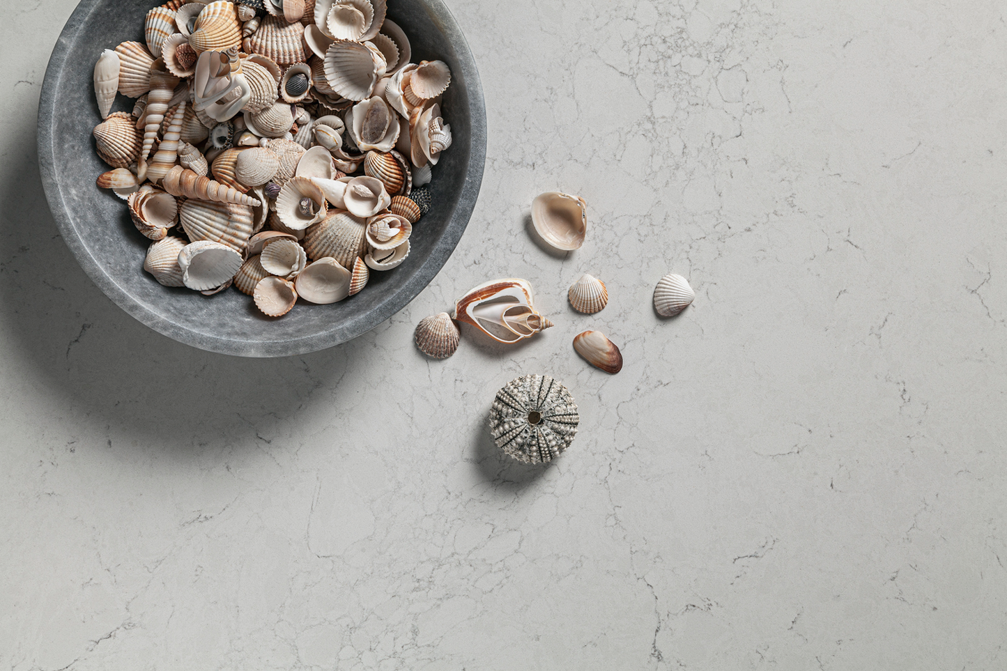Aspen PRIMO BELLA® Quartz Slab
