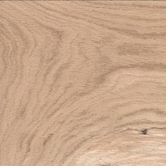 Canus Ash Wood