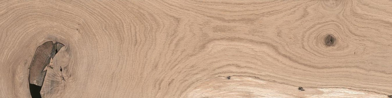 Canus Ash Wood