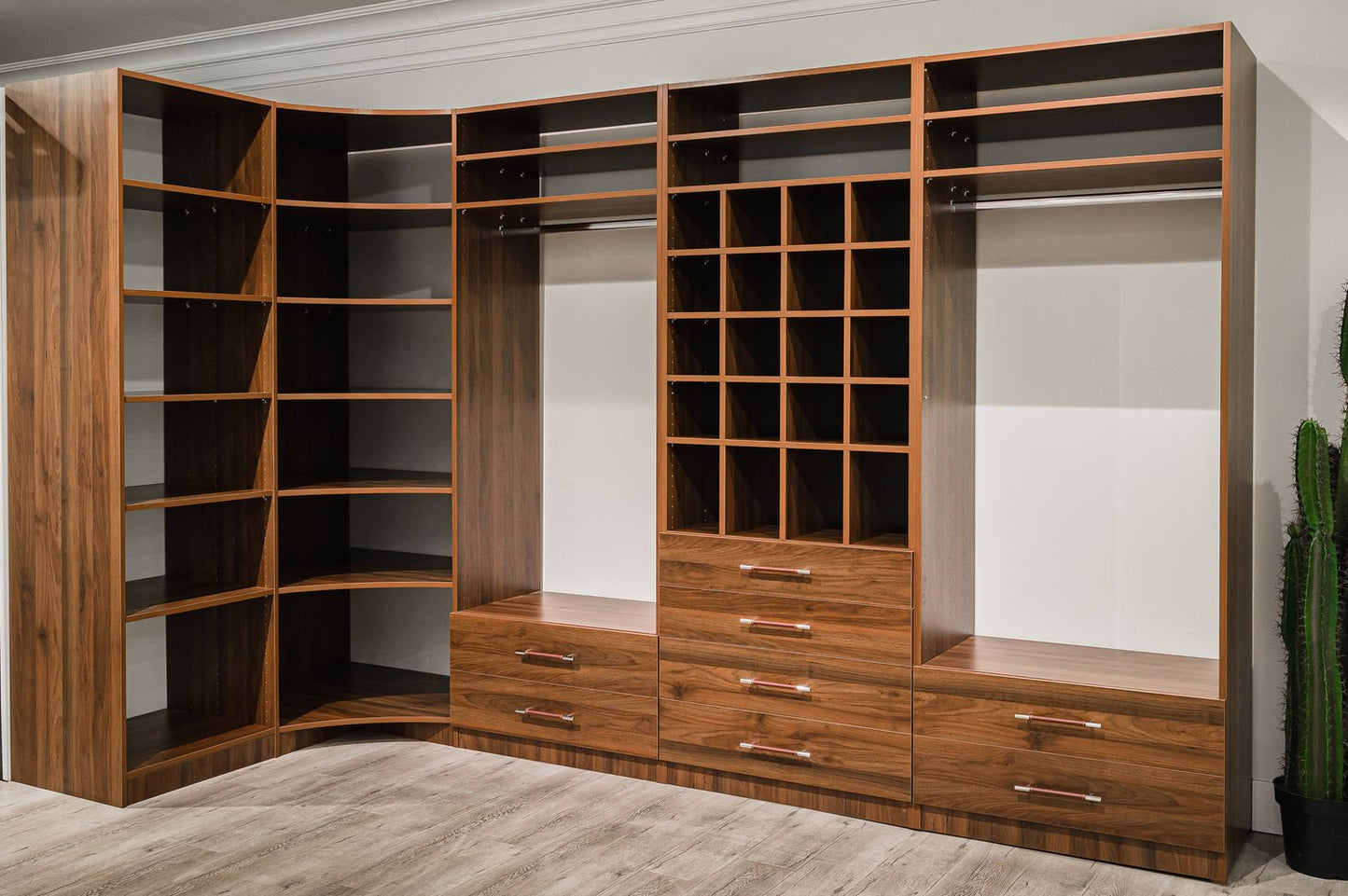 Walnut European