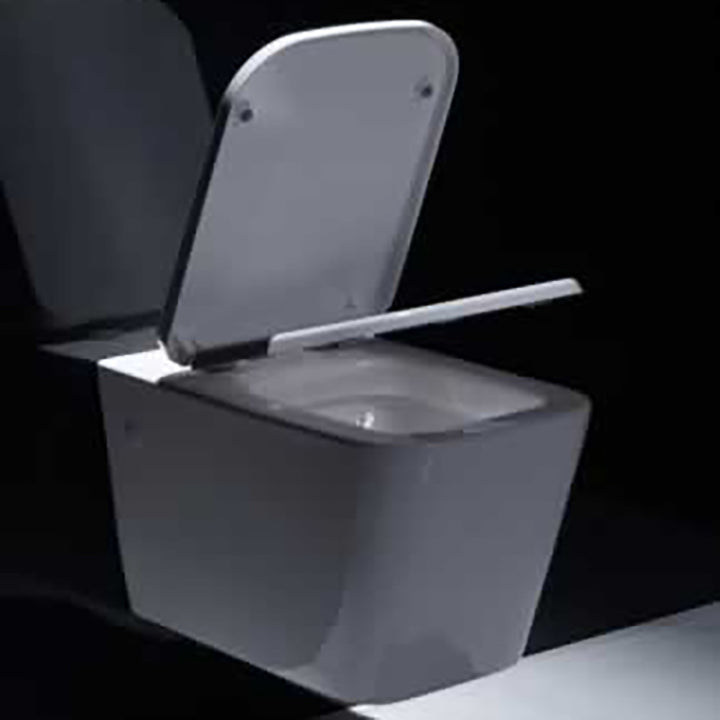 Saar Wall-Mounted Toilet