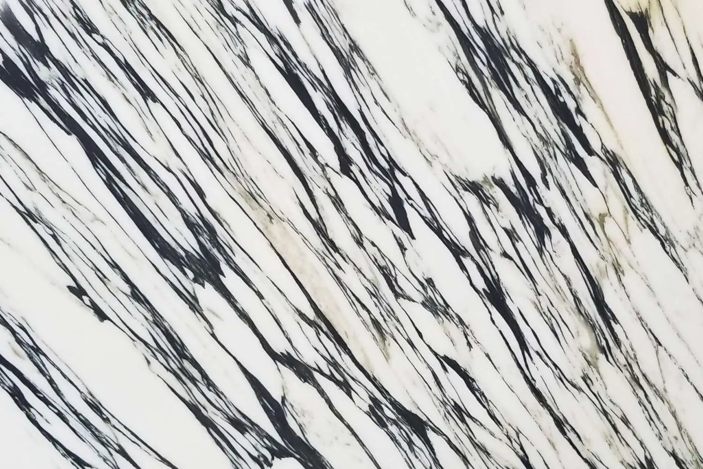Oriental Calacatta Natural Marble