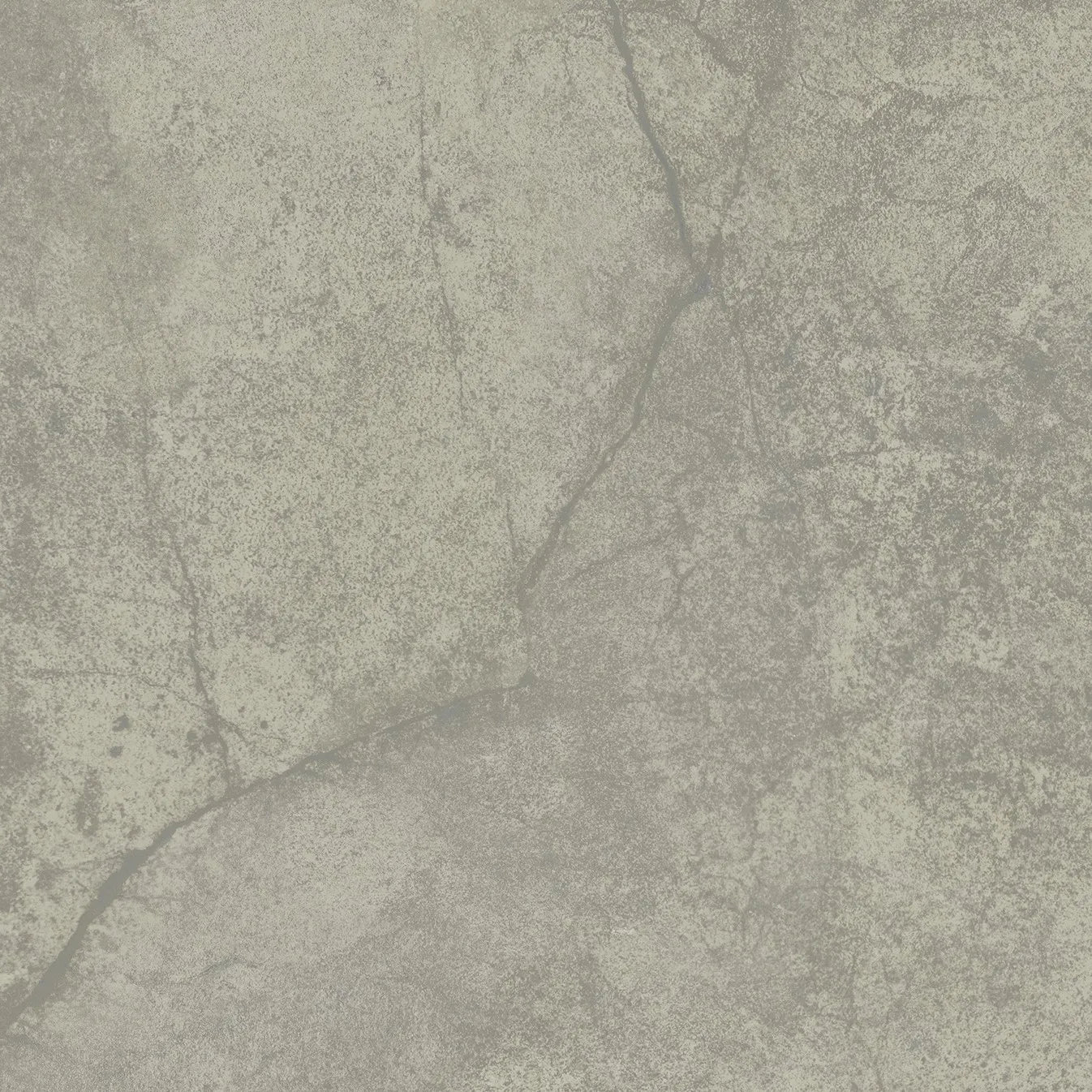 Freedom Strong Grey Porcelain Tile