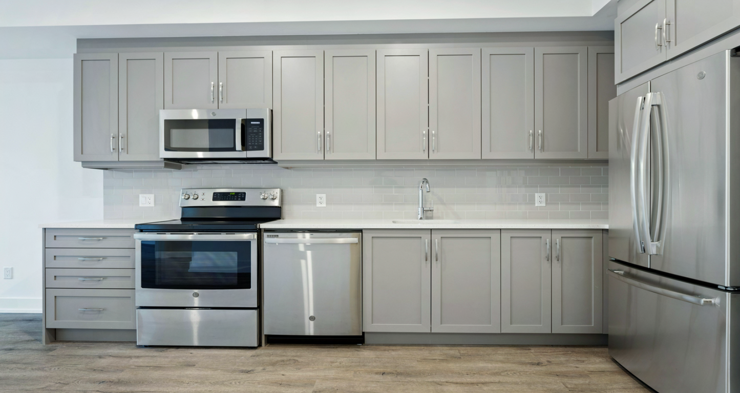 Mallorca Dolphin Grey Frameless Shaker