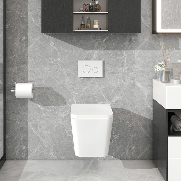 Saar Wall-Mounted Toilet