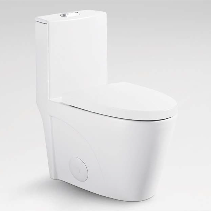 Hudson One-Piece Dual-Flush Toilet