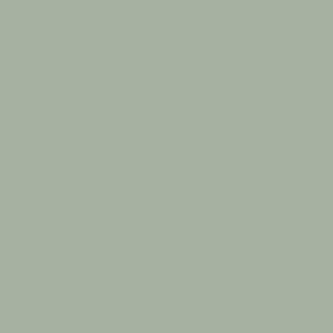 Zenit Agave super matte cabinet panel swatch showing the solid sage green finish