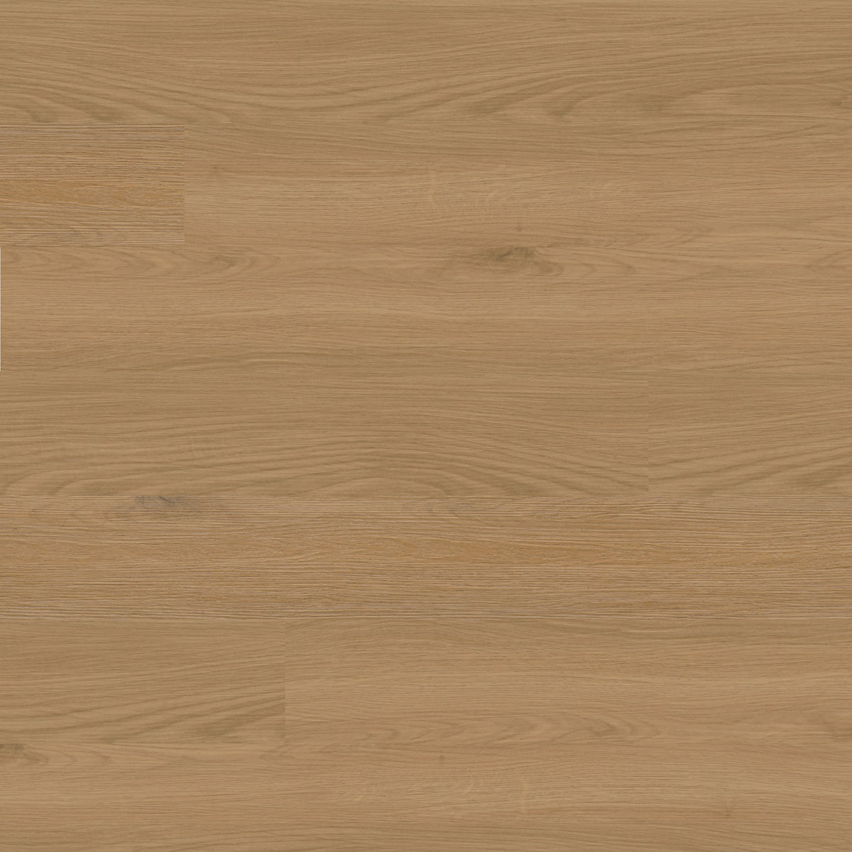 Cyrus 2.0 Flora Drift rigid core SPC vinyl plank flooring, top down plank view