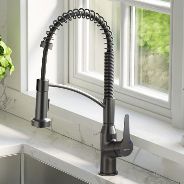 Scottsdale Kitchen Faucet