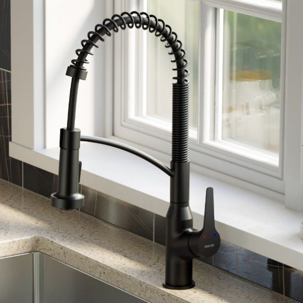 Scottsdale Kitchen Faucet