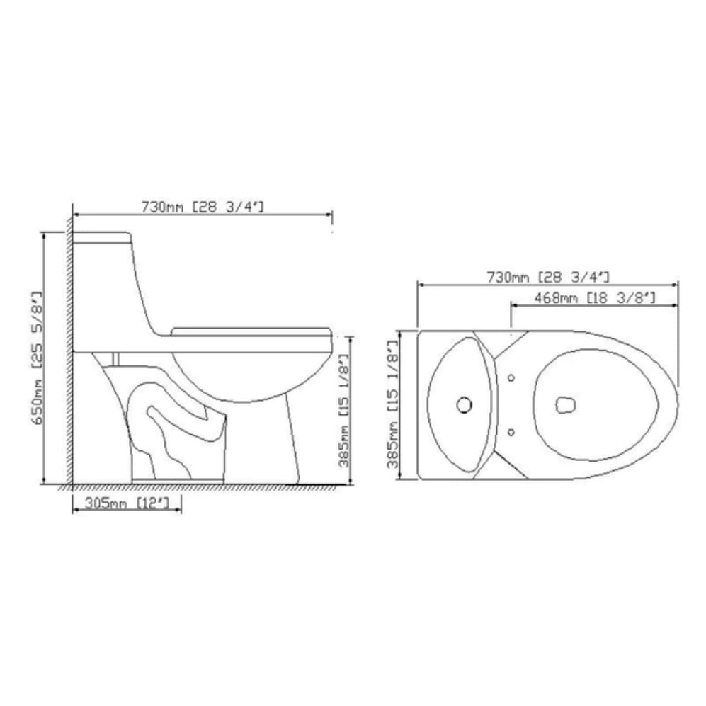 Hayden One-Piece Dual-Flush Elongated Toilet