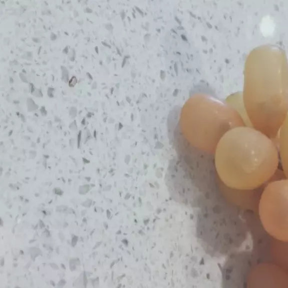 White Sparkle Quartz Slab