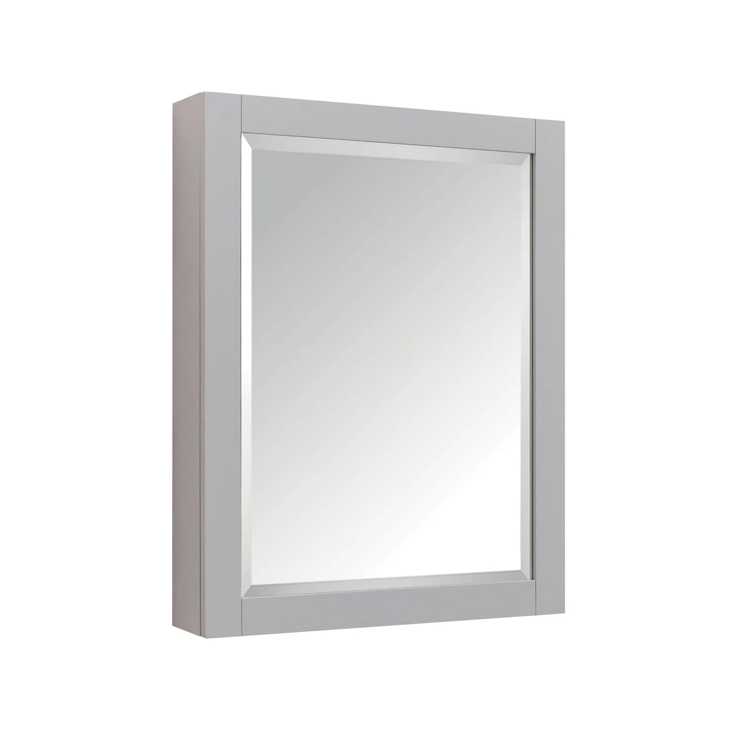 Modero Framed Mirror Medicine Cabinet