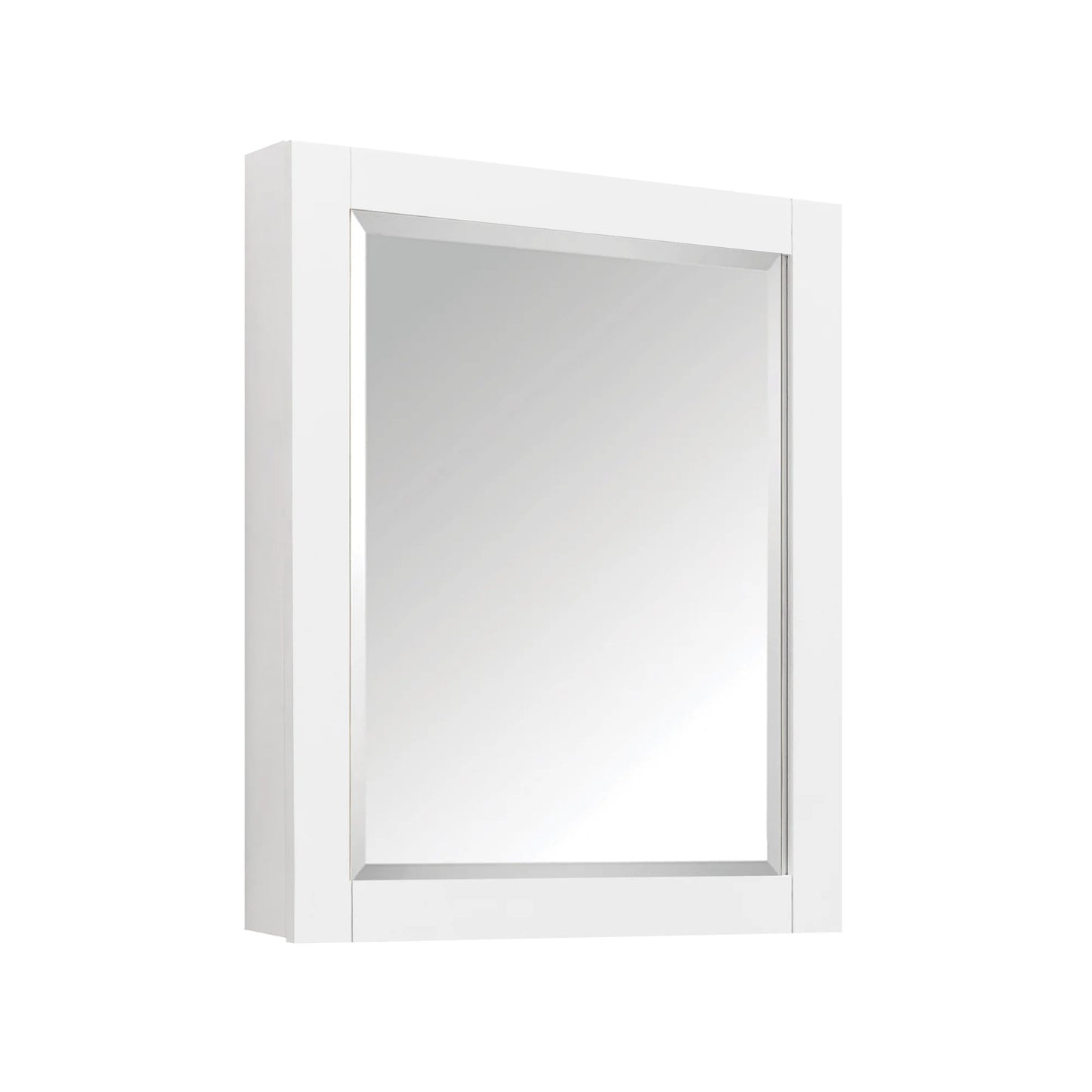 Modero Framed Mirror Medicine Cabinet