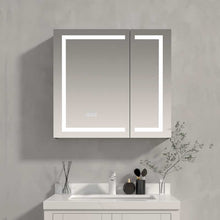 Load image into Gallery viewer, Mordecai LED Mirror Medicine Cabinet
