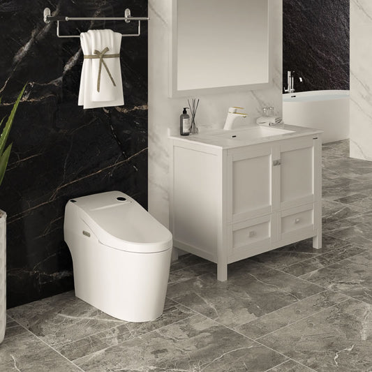 Basilia One-Piece Intelligent Toilet with Bidet Functionality