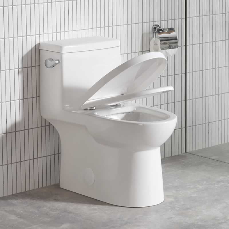 Rory One-Piece Toilet