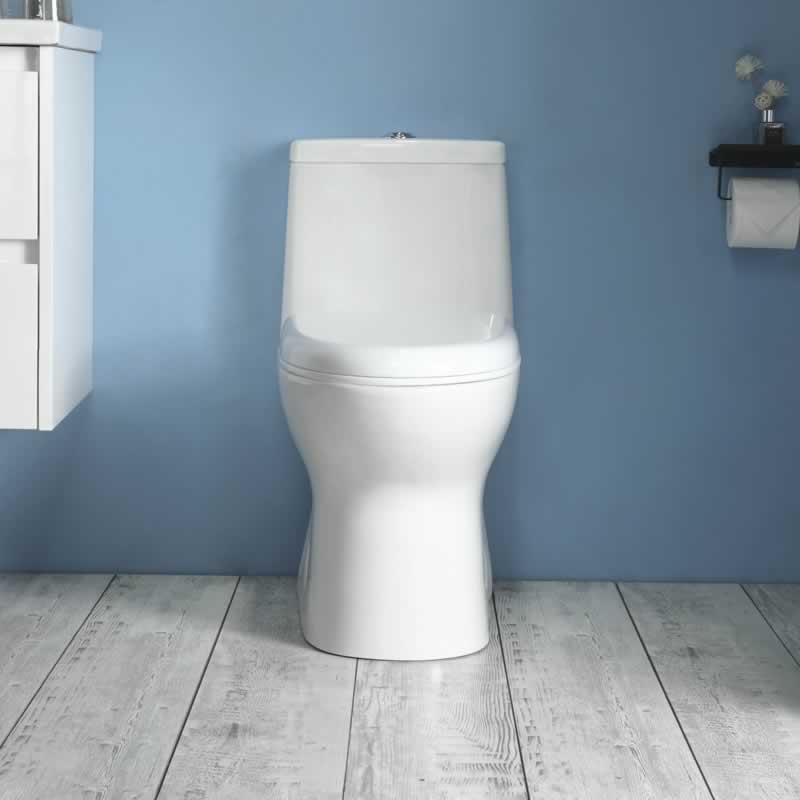 Letitia One-Piece Dual-Flush Toilet