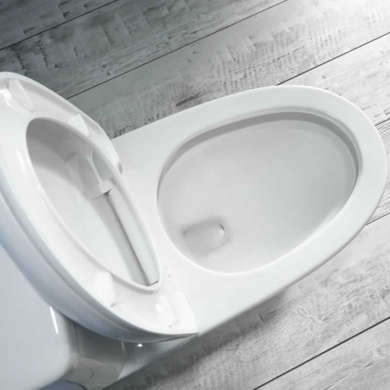 Letitia One-Piece Dual-Flush Toilet