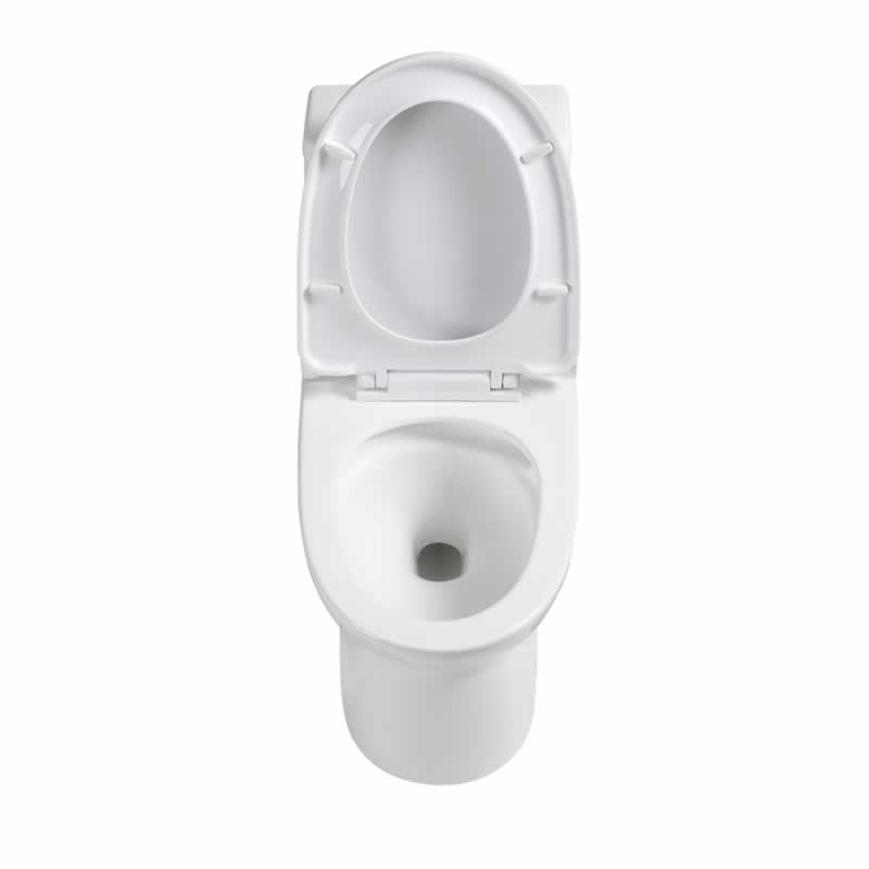 Letitia One-Piece Dual-Flush Toilet