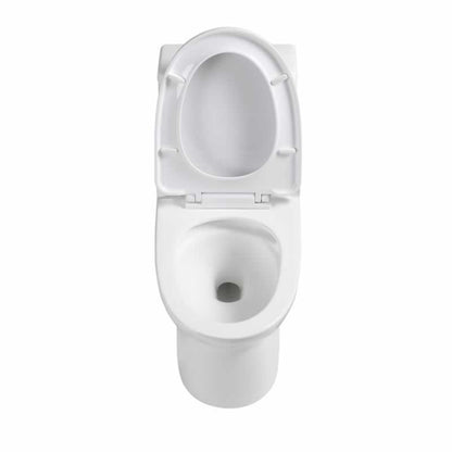 Letitia One-Piece Dual-Flush Toilet