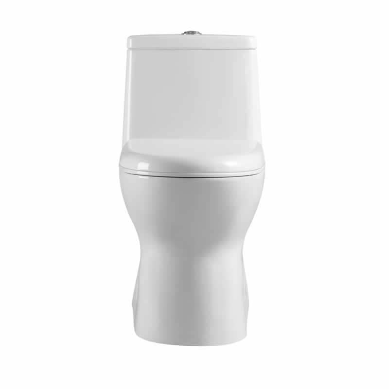 Letitia One-Piece Dual-Flush Toilet