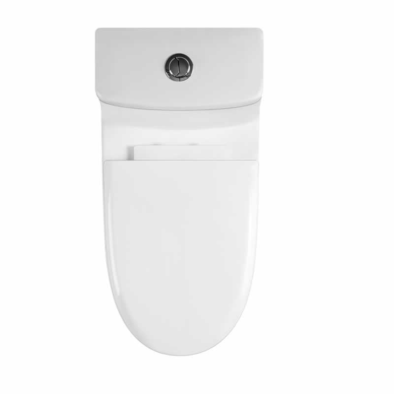 Letitia One-Piece Dual-Flush Toilet