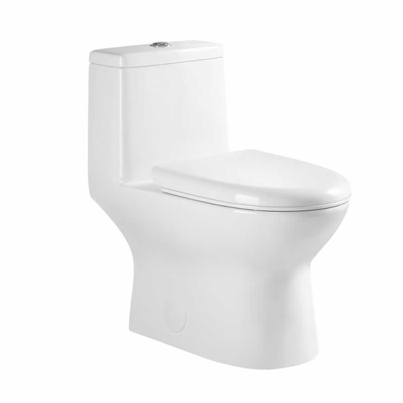 Letitia One-Piece Dual-Flush Toilet