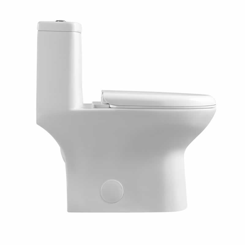 Letitia One-Piece Dual-Flush Toilet