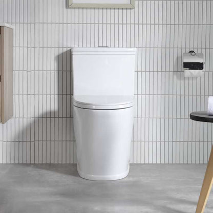 Zebulon One-Piece Dual-Flush Toilet