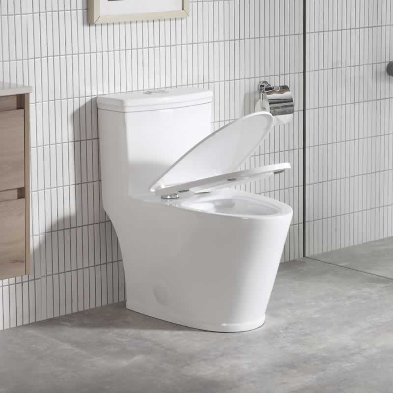 Zebulon One-Piece Dual-Flush Toilet