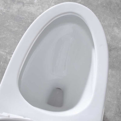 Zebulon One-Piece Dual-Flush Toilet