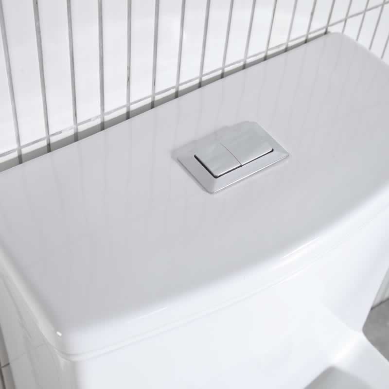 Zebulon One-Piece Dual-Flush Toilet