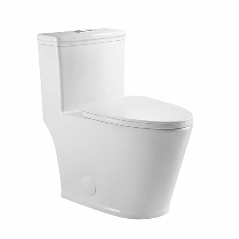 Zebulon One-Piece Dual-Flush Toilet