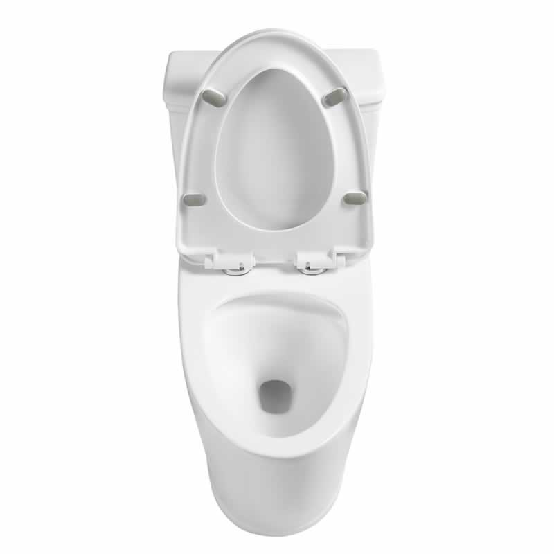 Zebulon One-Piece Dual-Flush Toilet