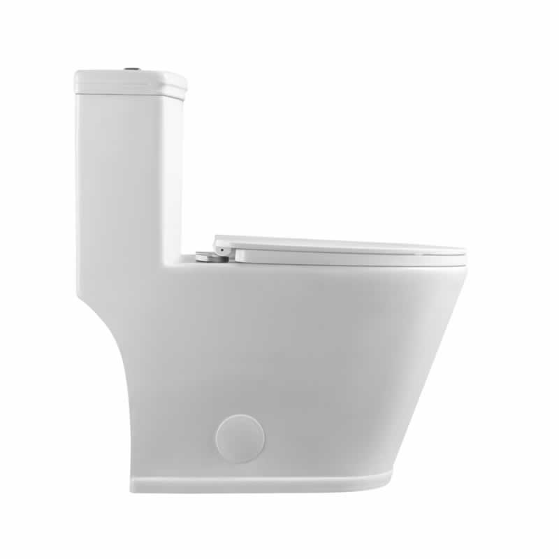 Zebulon One-Piece Dual-Flush Toilet