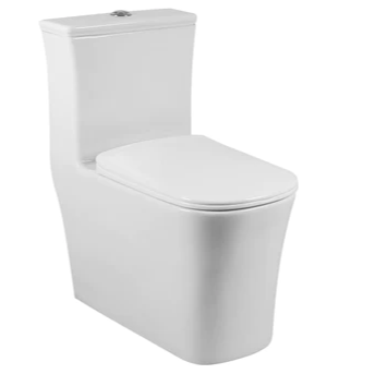 Lincoln One-Piece Dual-Flush Elongated Toilet